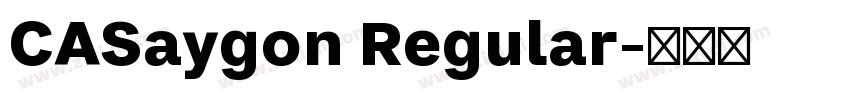 CASaygon Regular字体转换